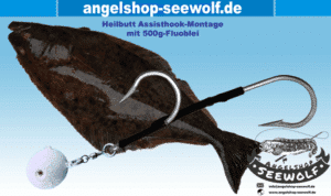 Heilbutt-Montage mit 160KG Kevlar-Leine