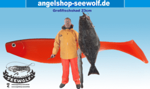 Großfisch-Shad 23cm für Norwegen Island Gelbes Riff